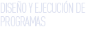 dise&ntilde;o y ejecuci&oacute;n de programas